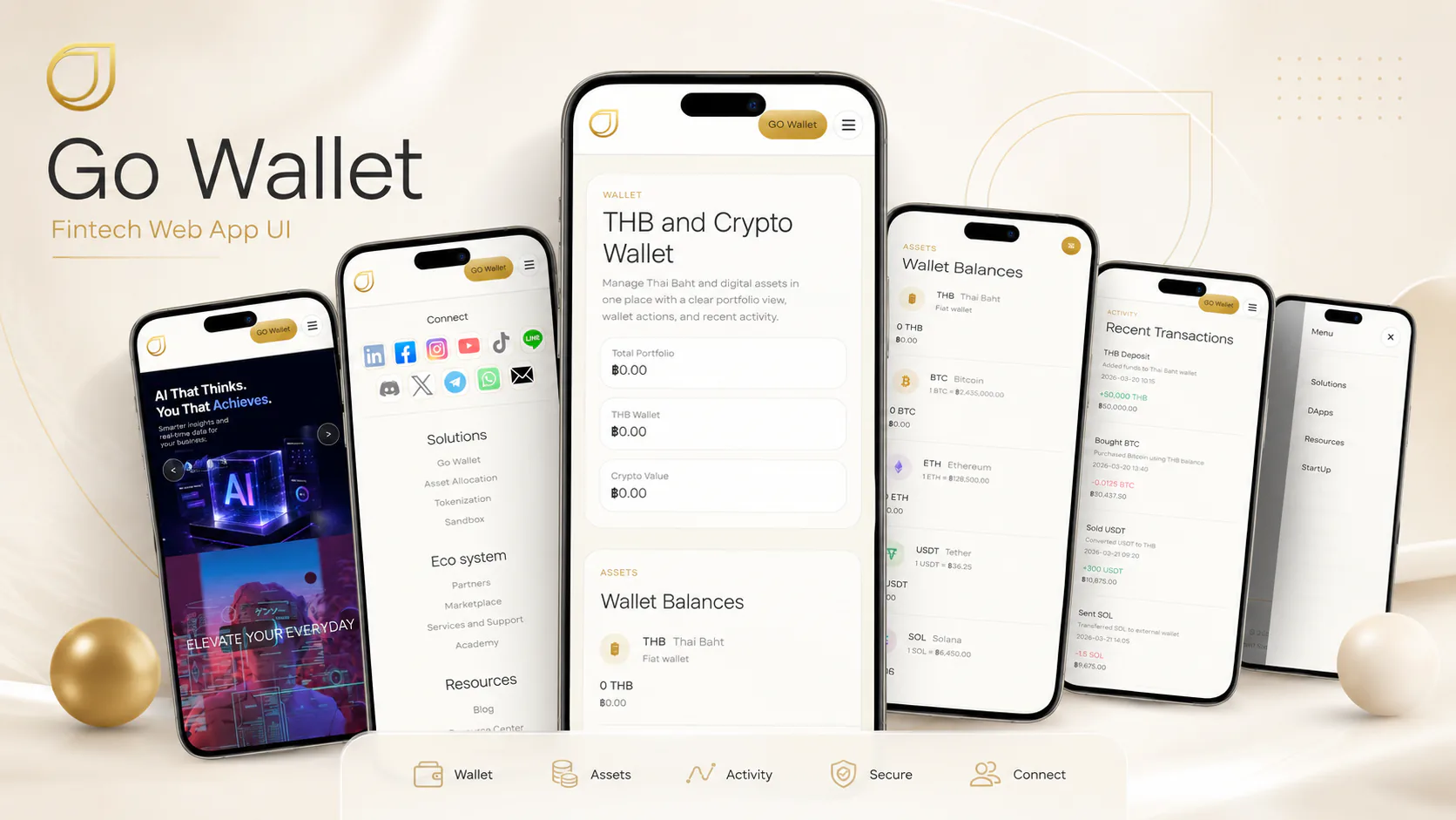 Go Wallet fintech web app project cover